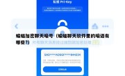 蝙蝠加密聊天暗号（蝙蝠聊天软件里的暗语有哪些?）