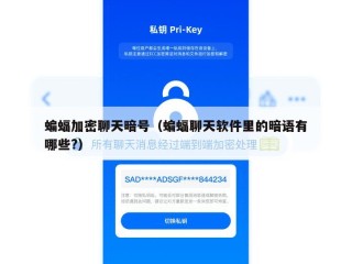 蝙蝠加密聊天暗号（蝙蝠聊天软件里的暗语有哪些?）