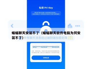 蝙蝠聊天安装不了（蝙蝠聊天软件电脑为何安装不了）