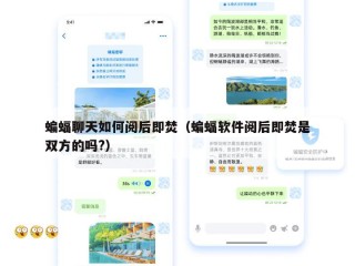 蝙蝠聊天如何阅后即焚（蝙蝠软件阅后即焚是双方的吗?）
