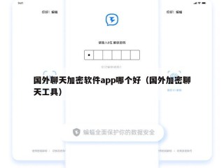 国外聊天加密软件app哪个好（国外加密聊天工具）