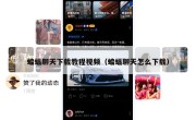 蝙蝠聊天下载教程视频（蝙蝠聊天怎么下载）