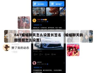 BAT蝙蝠聊天怎么设置长签名（蝙蝠聊天截图提醒怎么设置）