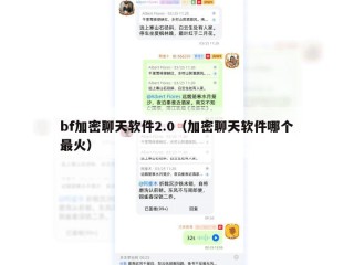 bf加密聊天软件2.0（加密聊天软件哪个最火）