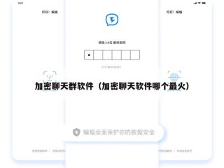 加密聊天群软件（加密聊天软件哪个最火）