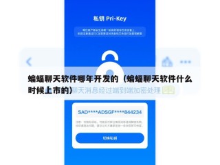 蝙蝠聊天软件哪年开发的（蝙蝠聊天软件什么时候上市的）