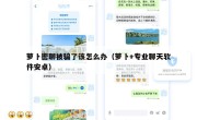 萝卜密聊被骗了该怎么办（萝卜+专业聊天软件安卓）