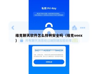 维克聊天软件怎么样啊安全吗（维克veex）
