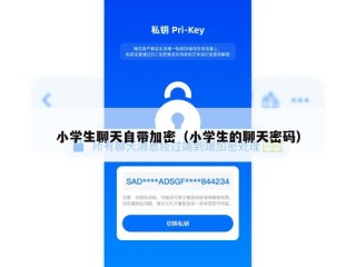 小学生聊天自带加密（小学生的聊天密码）
