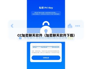 CC加密聊天软件（加密聊天软件下载）