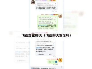 飞语加密聊天（飞语聊天安全吗）