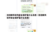 泡泡聊天软件安全保护是什么东西（泡泡聊天软件安全保护是什么东西）
