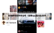 音递聊天软件安全吗（音聊app是什么软件）