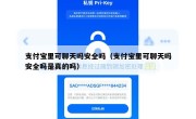 支付宝里可聊天吗安全吗（支付宝里可聊天吗安全吗是真的吗）