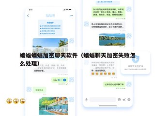 蝙蝠蝙蝠加密聊天软件（蝙蝠聊天加密失败怎么处理）