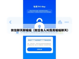 微信聊天聊蝙蝠（微信有人叫我用蝙蝠聊天）