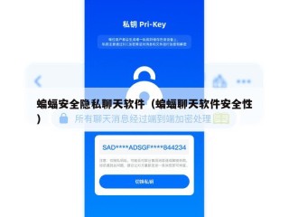 蝙蝠安全隐私聊天软件（蝙蝠聊天软件安全性）