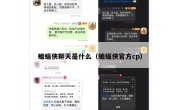 蝙蝠侠聊天是什么（蝙蝠侠官方cp）