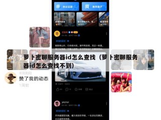 萝卜密聊服务器id怎么查找（萝卜密聊服务器id怎么查找不到）