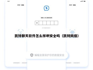 凯特聊天软件怎么样啊安全吗（凯特网络）
