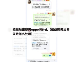 蝙蝠加密聊天oppo叫什么（蝙蝠聊天加密失败怎么处理）