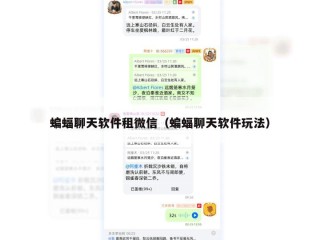 蝙蝠聊天软件租微信（蝙蝠聊天软件玩法）