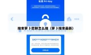 搜索萝卜密聊怎么搜（萝卜搜索最新）