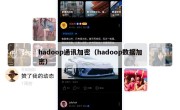 hadoop通讯加密（hadoop数据加密）