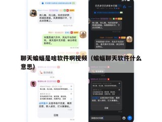 聊天蝙蝠是啥软件啊视频（蝙蝠聊天软件什么意思）