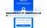 蝙蝠加密聊天怎么下线（蝙蝠加密消息怎么解开）