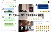 萝卜密聊exe（萝卜密聊服务器id有哪些）