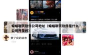 蝙蝠聊天软件公司地址（蝙蝠聊天软件是什么公司开发的）