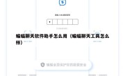 蝙蝠聊天软件助手怎么用（蝙蝠聊天工具怎么样）