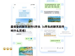最安全的聊天软件S开头（s开头的聊天软件叫什么灵魂）