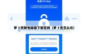 萝卜密聊电脑版下载官网（萝卜密怎么吃）