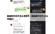 蝙蝠聊天软件怎么发照片（蝙蝠聊天软件怎么发图片）