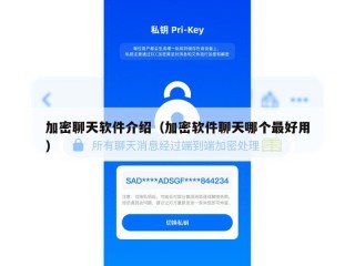 加密聊天软件介绍（加密软件聊天哪个最好用）
