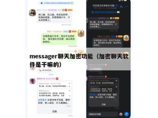 messager聊天加密功能（加密聊天软件是干嘛的）