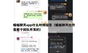蝙蝠聊天app什么时候诞生（蝙蝠聊天软件是那个团队开发的）