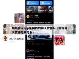 蝙蝠聊天app是国内的聊天软件吗（蝙蝠聊天软件是真是假）