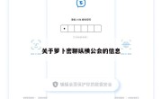 关于萝卜密聊纵横公会的信息