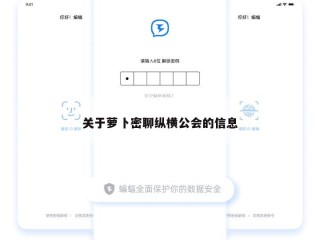 关于萝卜密聊纵横公会的信息