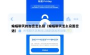 蝙蝠聊天的加密怎么搞（蝙蝠聊天怎么设置密语）