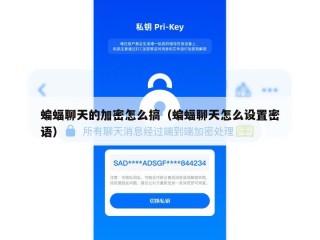 蝙蝠聊天的加密怎么搞（蝙蝠聊天怎么设置密语）