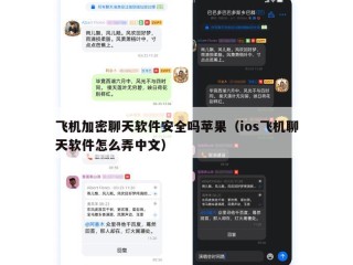 飞机加密聊天软件安全吗苹果（ios飞机聊天软件怎么弄中文）