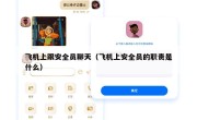飞机上跟安全员聊天（飞机上安全员的职责是什么）