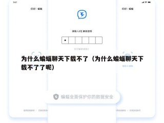 为什么蝙蝠聊天下载不了（为什么蝙蝠聊天下载不了了呢）