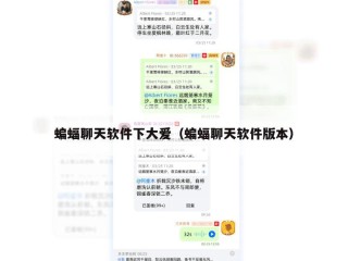 蝙蝠聊天软件下大爱（蝙蝠聊天软件版本）