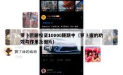 萝卜密聊投资10000期期中（萝卜蜜的功效与作用及图片）