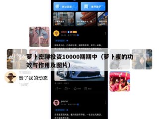 萝卜密聊投资10000期期中（萝卜蜜的功效与作用及图片）